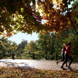 C’est le moment de penser à votre vitamine D !