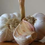 L’ail : un aliment + un médicament = un alicament