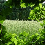 Un terrain déséquilibré, ca signifie quoi exactement ?