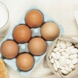 Intolérances alimentaires et tests sanguins