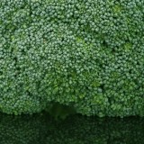 6 super-aliments : avez vous mangé l’un d’entre eux aujourd’hui ?