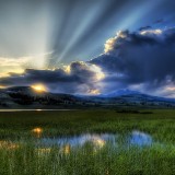 Mes huiles essentielles anti blues de rentrée