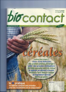 les céréales côté nutrition