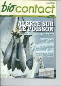 Vertus nutritionnelles du poisson