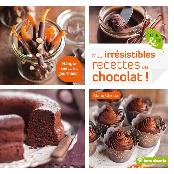 mes irrésistibles recettes au chocolat